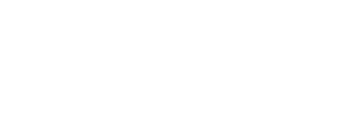 Berlin Partner Logo